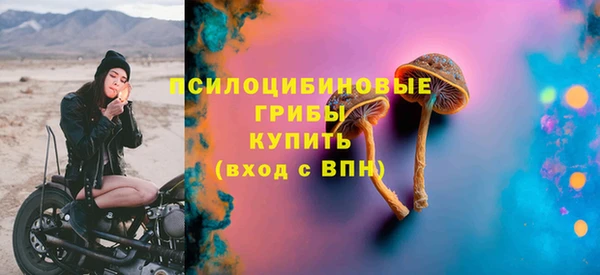 ПСИЛОЦИБИНОВЫЕ ГРИБЫ Вязники