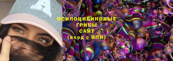 ПСИЛОЦИБИНОВЫЕ ГРИБЫ Вязники